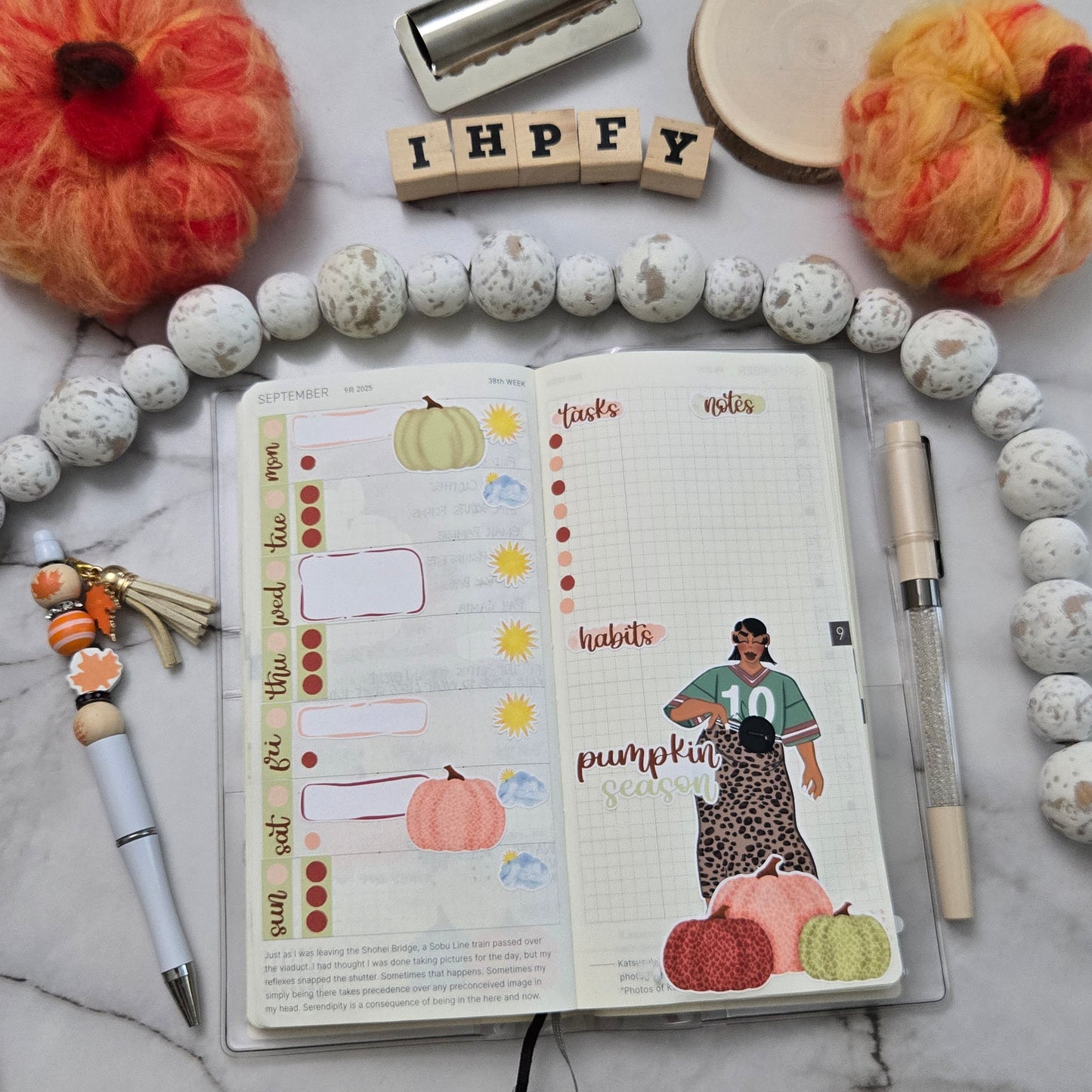 Earthy Leopard Pumpkins Hobonichi Weeks Stickers